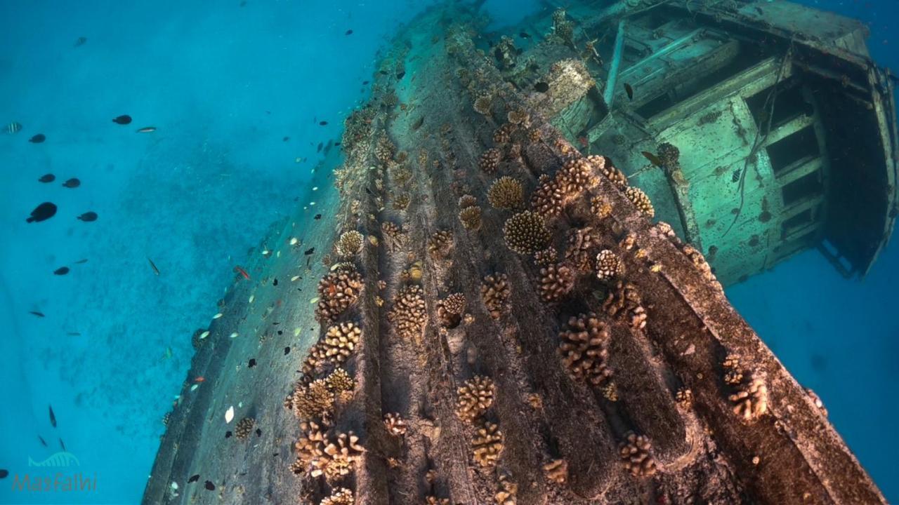 Masfalhi View Inn Felidhoo Kültér fotó