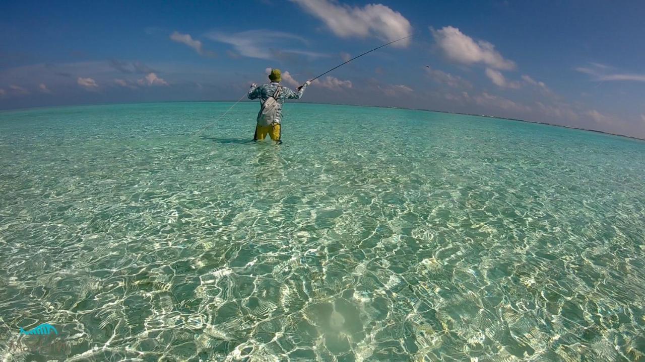 Masfalhi View Inn Felidhoo Kültér fotó