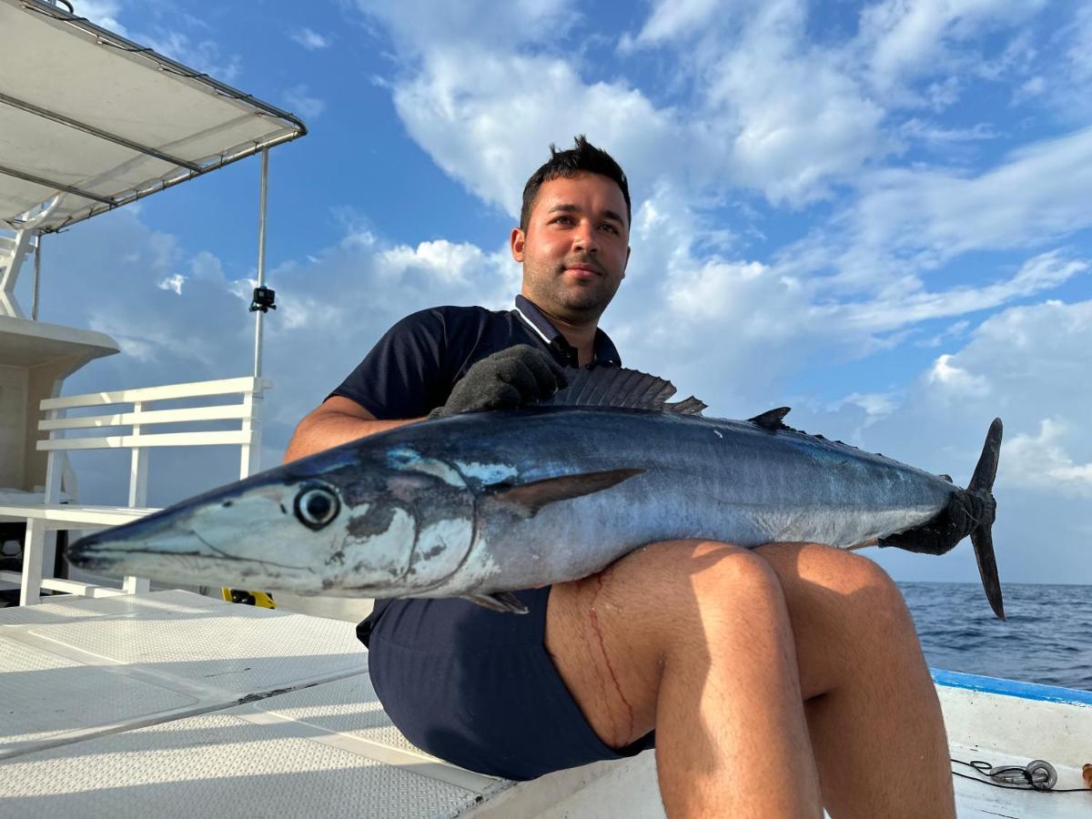 Masfalhi View Inn Felidhoo Kültér fotó